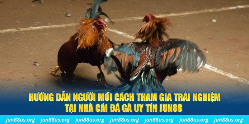 k8cc CQ9 Điện Tử