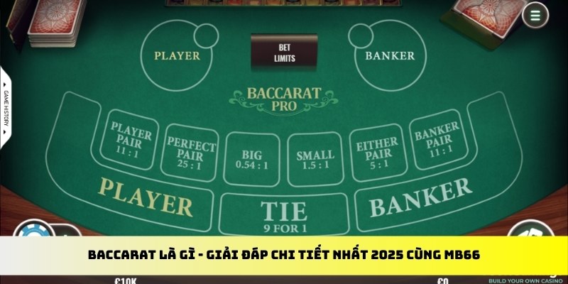 k8cc gà chọi cu cần