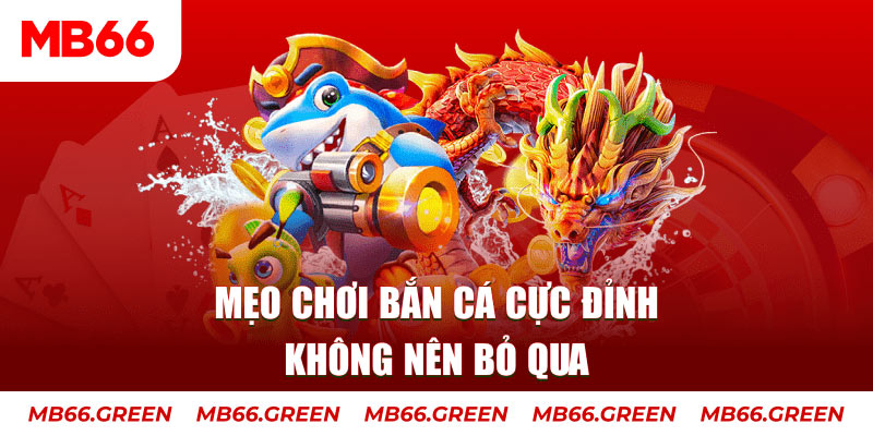 k8cc xổ số miền bắc