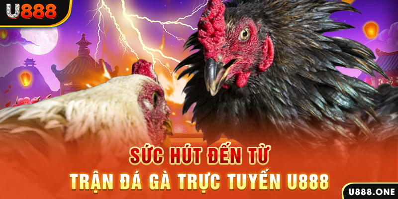 k8cc nổ hũ b29 là gì