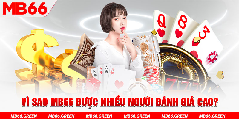 k8cc đá gà