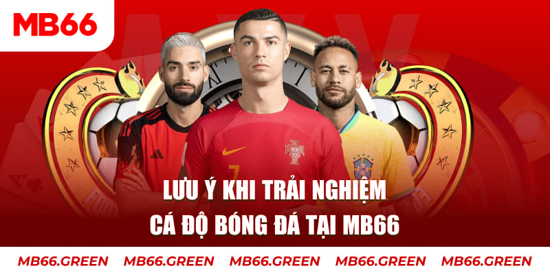 k8cc cá cược là gì