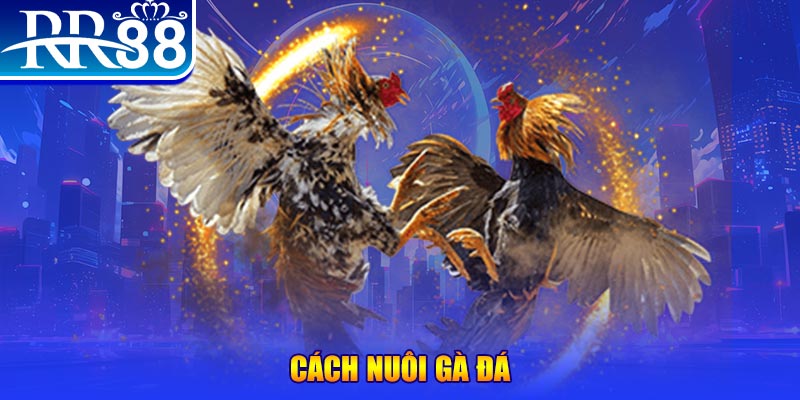 k8cc xổ số an giang