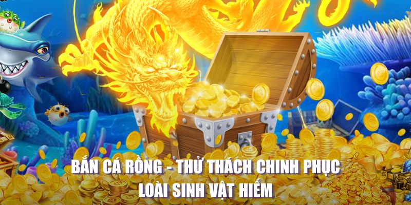 k8cc máy slot game là loại trò chơi gì？