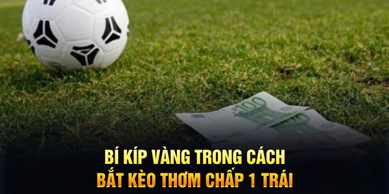 k8cc sổ xô miên bắc