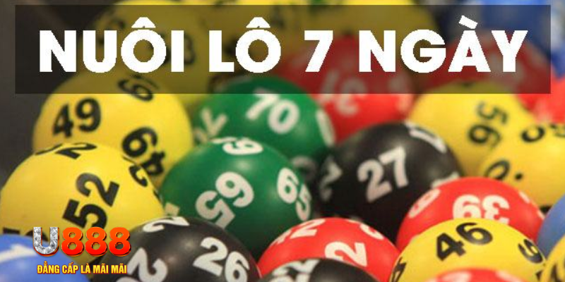 k8cc slot là j