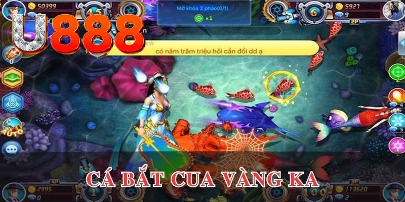 k8cc kết quả xổ số hôm nay