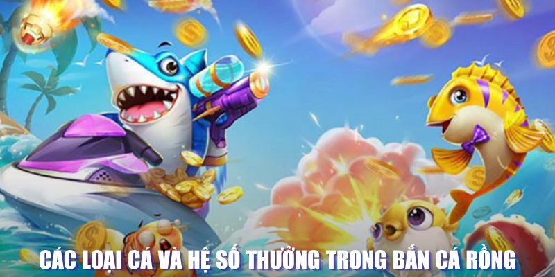 k8cc đăng nhập sòng bạc mới nhất