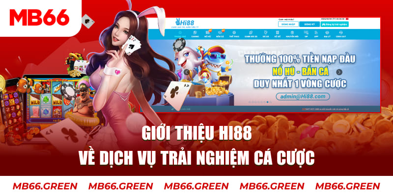 k8cc ga choi hoa phong