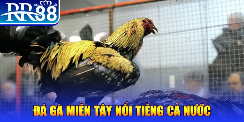 k8cc JILI Game Bài 3d