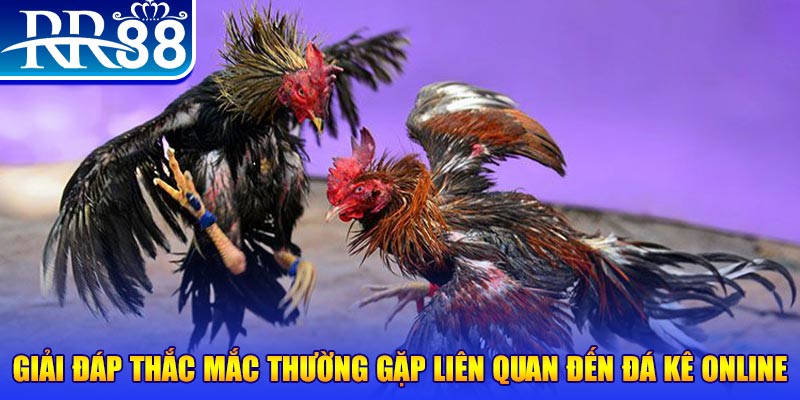 k8cc xổ số đà lạt