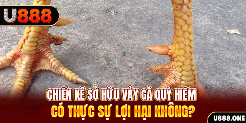 nohu .mx nổ hủ là gì