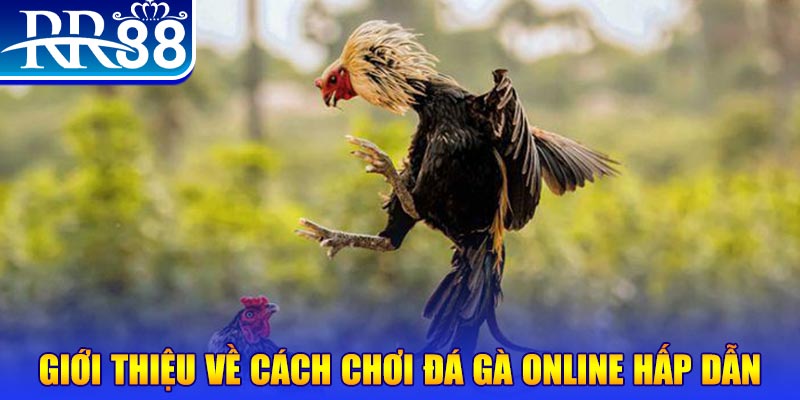 k8cc game nổ hũ rút tiền mặt là gì