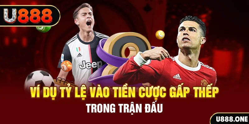 k8cc kết quả xổ số 30 ngày