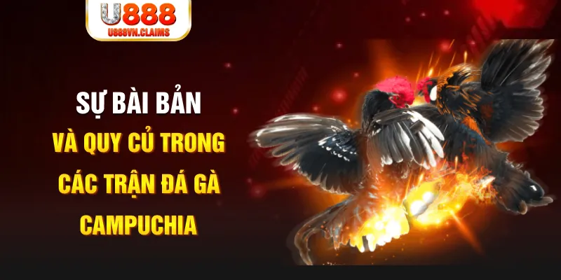 k8cc YGR Điện Tử