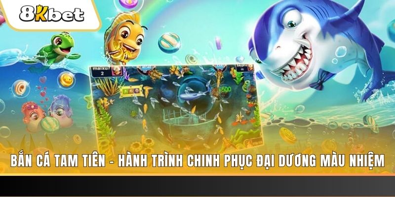 k8cc xổ số bình định