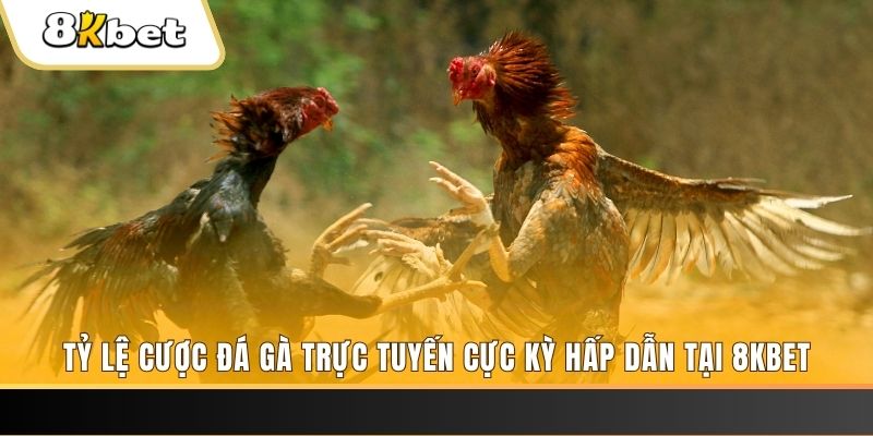 k8cc xổ số trực tiếp miền bắc