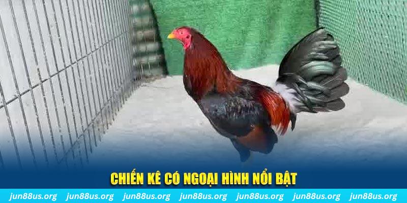 k8cc chạy quảng cáo cho game bài bị phạt như thế nào
