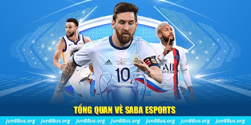 k8cc EvoPlay Điện Tử