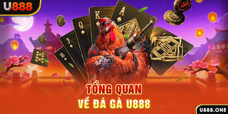 k8cc ILOVEU Điện Tử