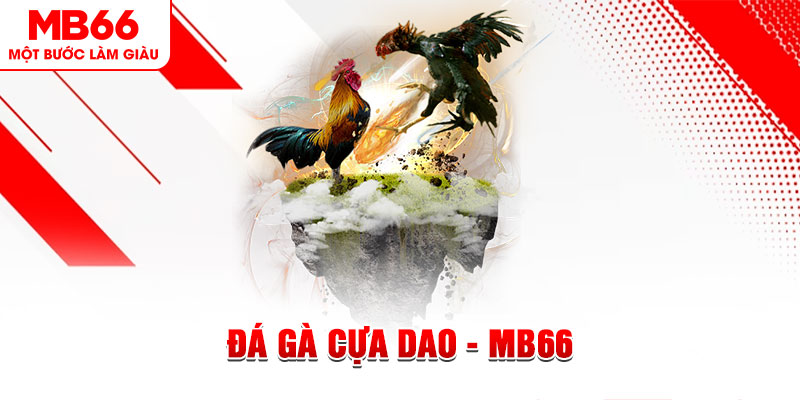k8cc đá gà sv388 gold