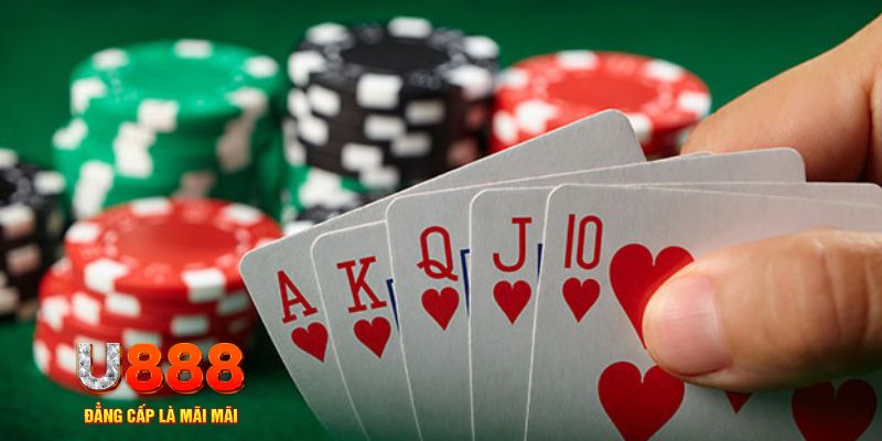 k8cc đá gà trực tiếp thomo 67